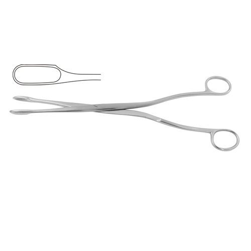 Placenta and Ovum Forcep