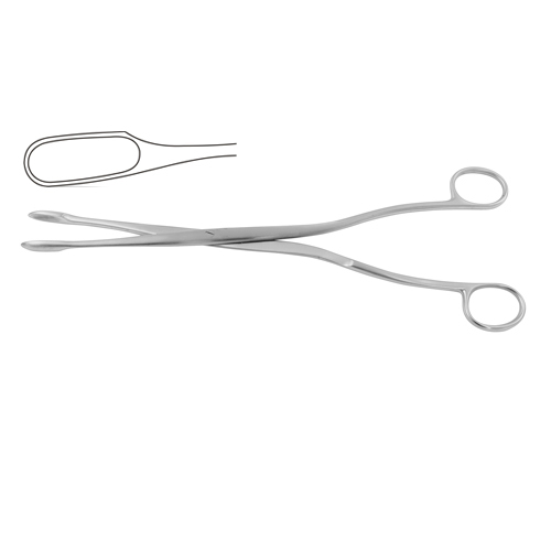 Placenta and Ovum Forcep