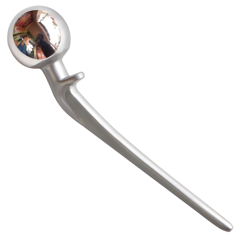 Hip Prosthesis